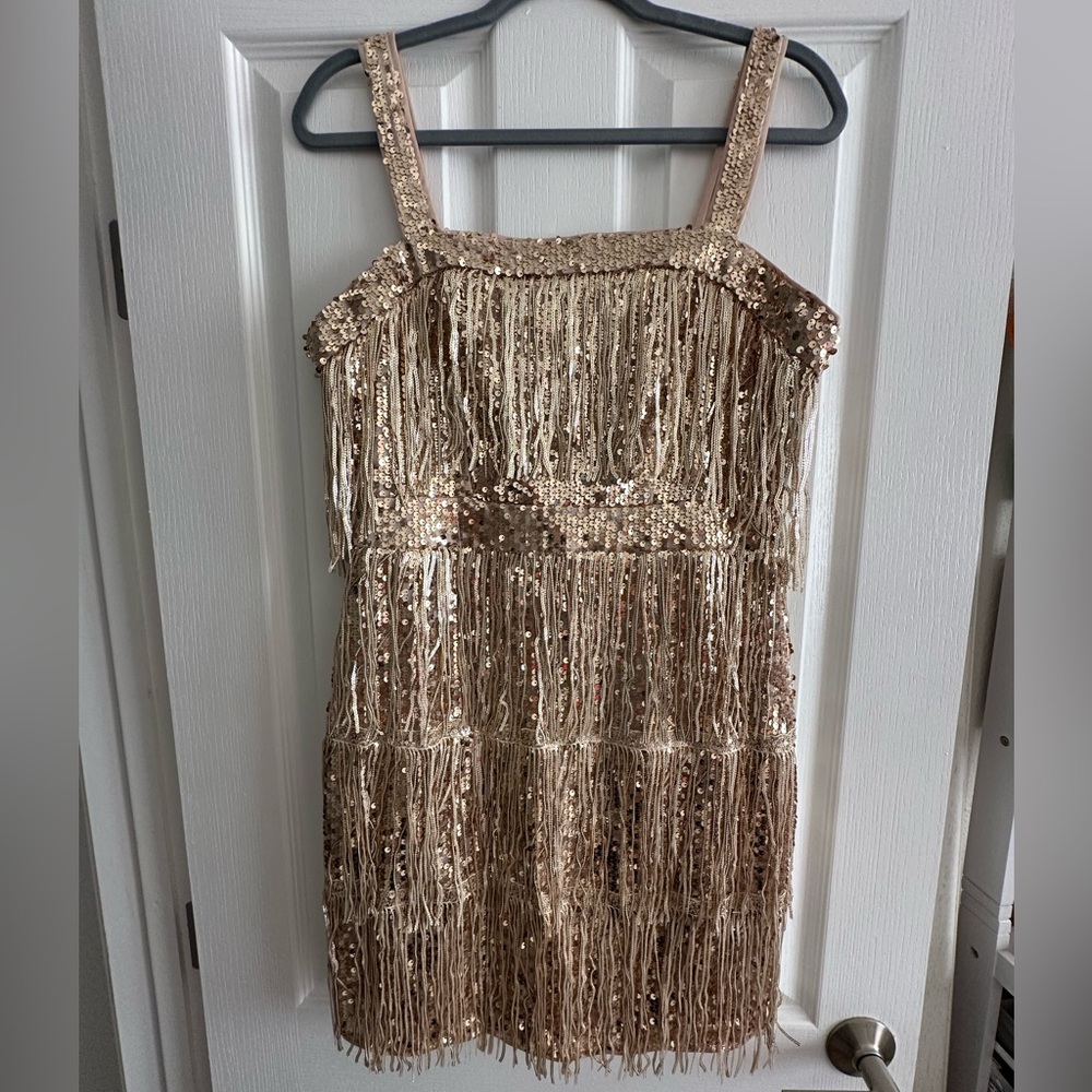 Gold Sequin Fringe Dress